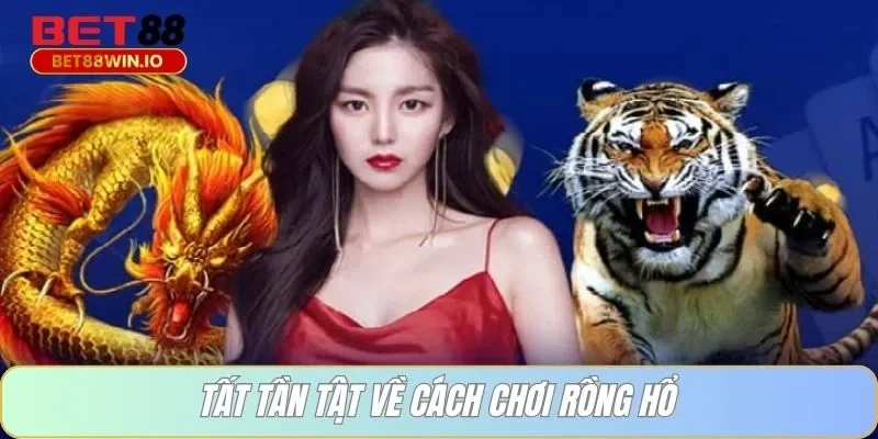 Tất tần tật về cách chơi rồng hổ Bet88
